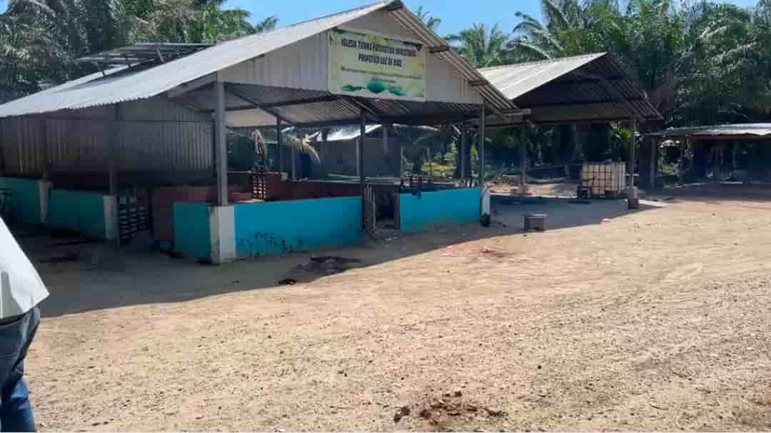 Masacre en el Aguán: asesinan al menos 13 campesinos dentro de finca de palma en Trujillo