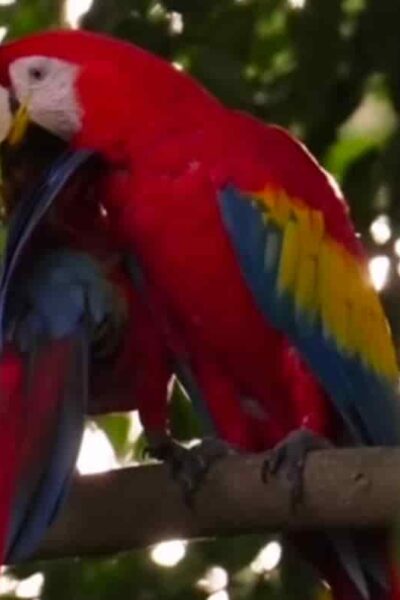 El día que el cielo recuperó sus colores